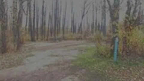 Group B STANDARD POWER SITE - NON LAKESIDE — image 1 of 2
