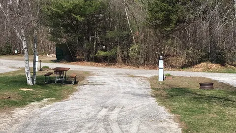 Deluxe Full Hookup Pull-through RV Site — image 1 of 2