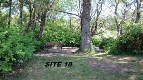 Primitive Tent Site (4 People Max) — image 2 of 4