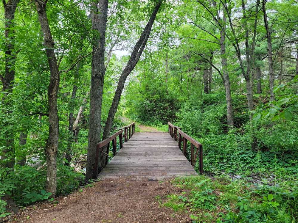 Knife Island Campground