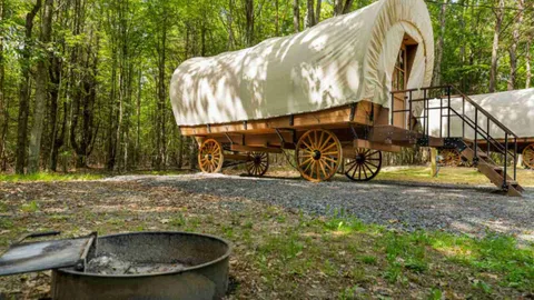 Luxury Wagon Rental — image 1 of 4
