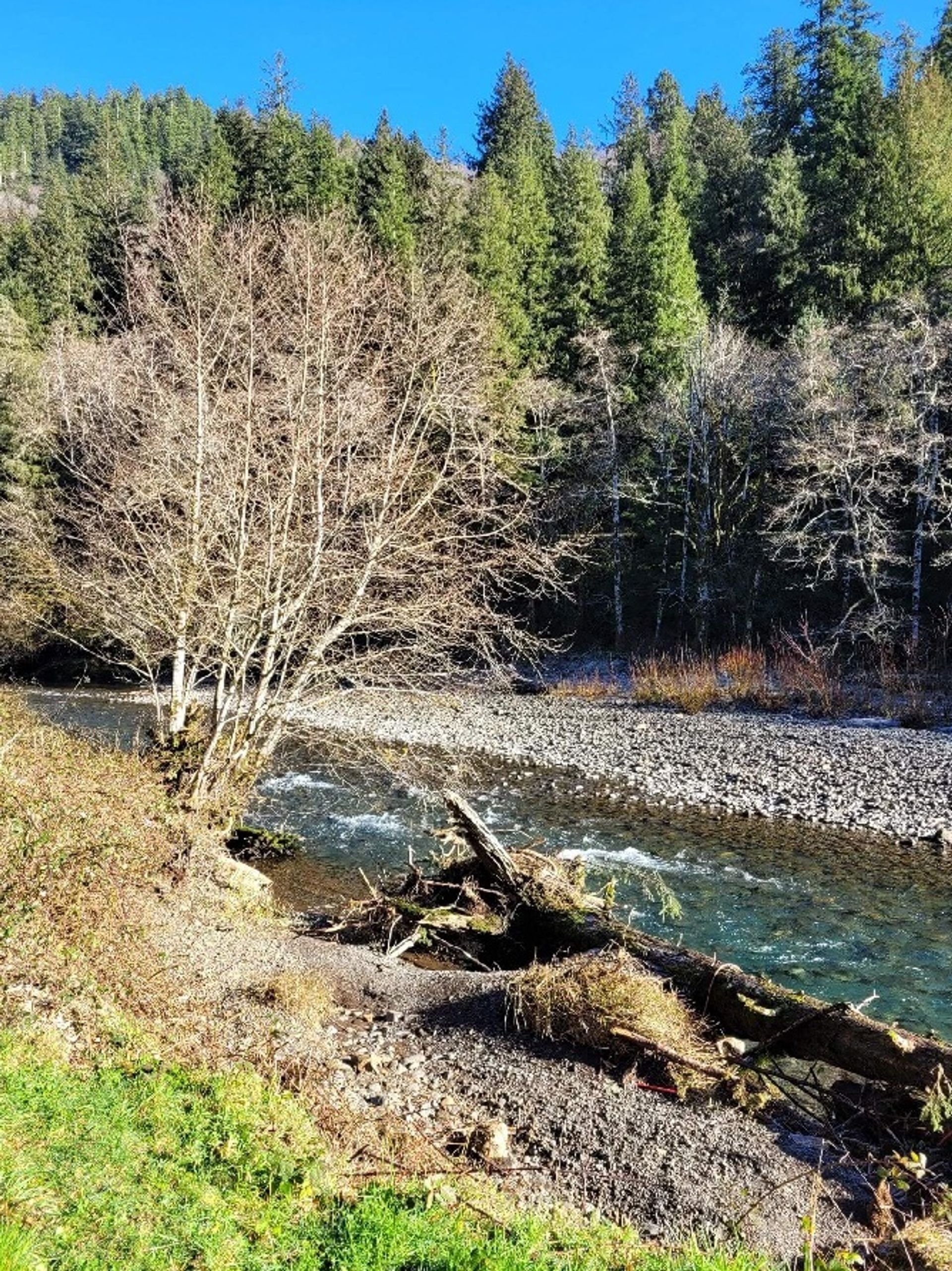 Kilchis River County Campground