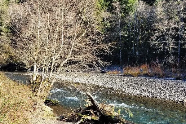 Kilchis River County Campground – photo 1