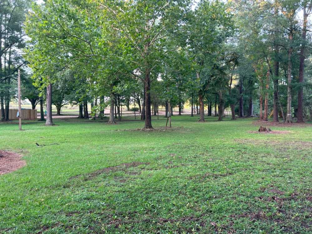 Park Image 7