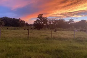 Cowbird Campground – photo 5