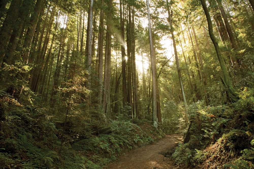 Park Image 10