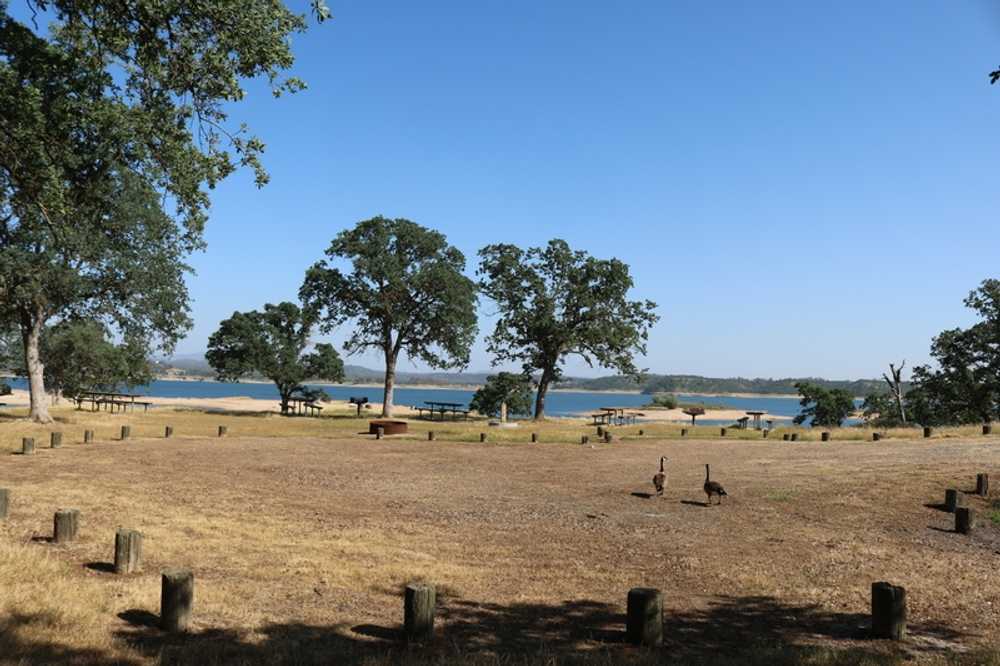 Lake Camanche North Shore Ione, California Campspot