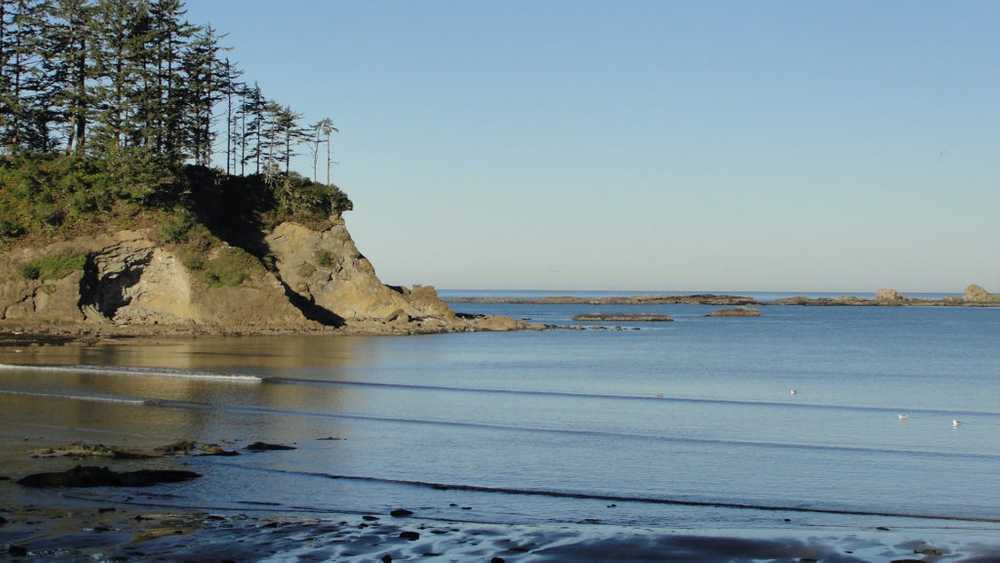 Sun Outdoors Coos Bay - Photo 4