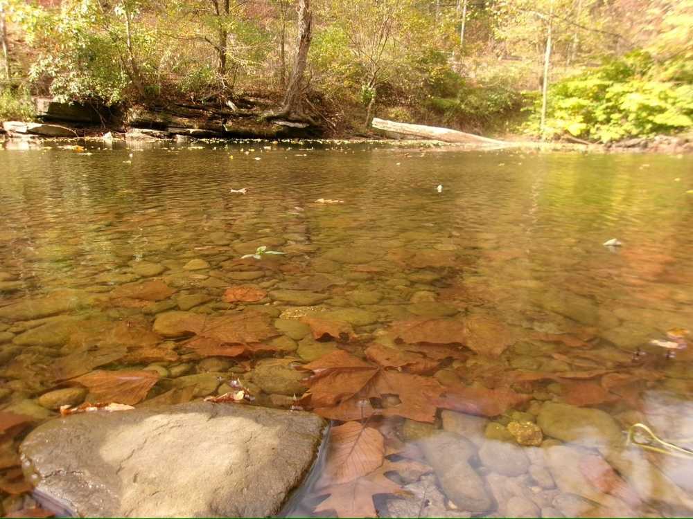 Squarewood Acres Campground, Trout Run, Pennsylvania - Photo 5