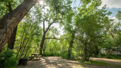 Small Tent/RV Site — image 1 of 6