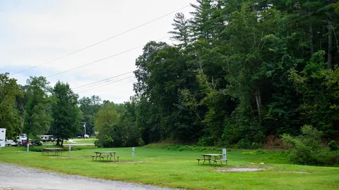 Premium 30/50 Amp RV Creek-side Site — image 2 of 4