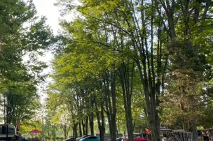 PLB Pleasant Beach Campground – photo 4