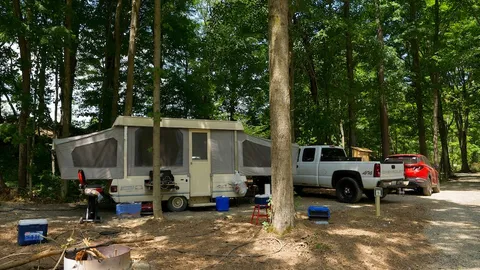 Forest Water & Electric — image 1 of 2