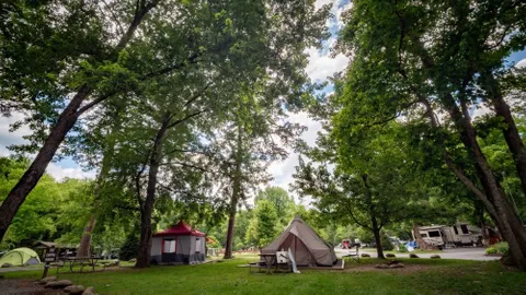Off River Water + Electric Tent Site — image 9 of 9