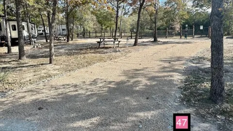 Premium Shaded Pull-Through RV Site — image 1 of 1