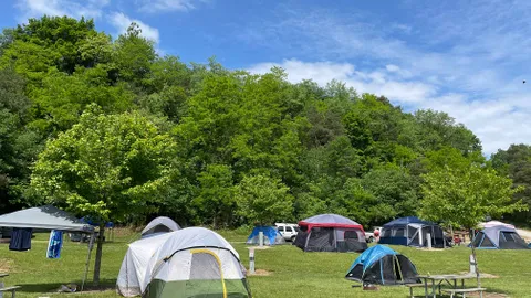 Electric Tent Site (800's) — image 1 of 6