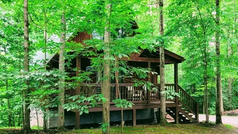 The Three Bears Den - Cabin 5 — image 1 of 36