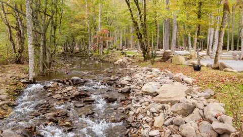 Deluxe Park View RV Site — image 10 of 10