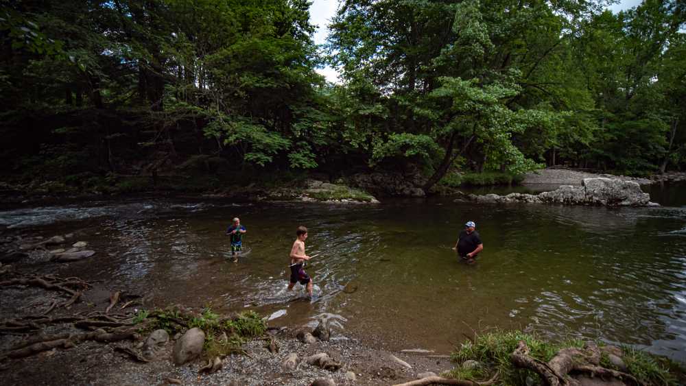 Park Image 5