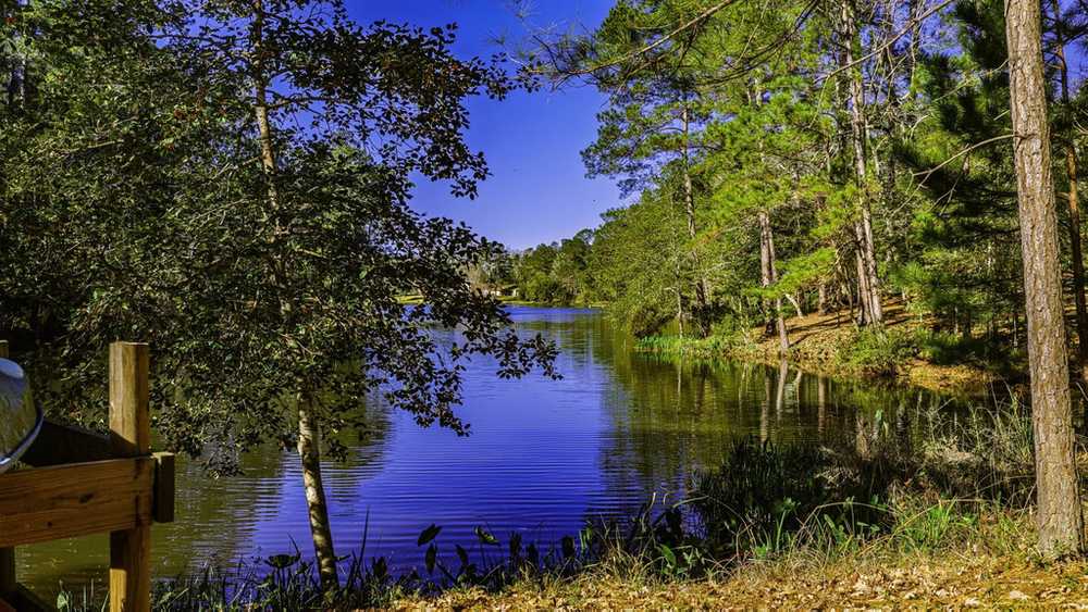Camp Cameron, Goodrich, Texas - Photo 4