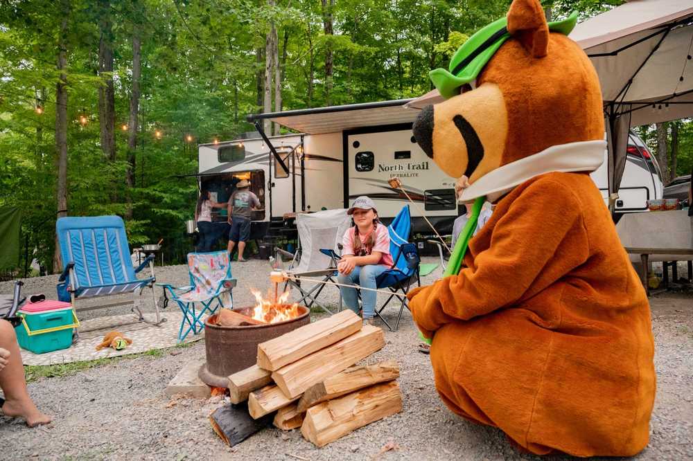 Yogi Bear's Jellystone Park™ Camp-Resort: PA Wilds - Photo 4