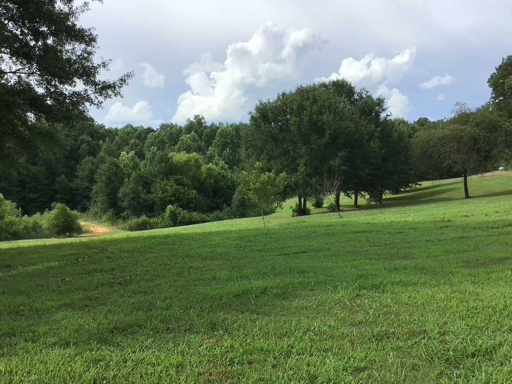 Ivy Acres RV Park, Piedmont, South Carolina - Photo 3