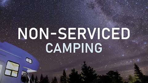 NON-SERVICED — image 1 of 1