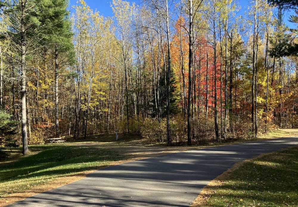 Torch Lake Campground & RV Park - Conover, WI - Photo 5