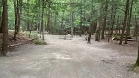 Tent- Double Site, Brook Front — image 2 of 5