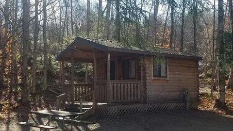 Cabin- One Room, Wooded — image 10 of 10