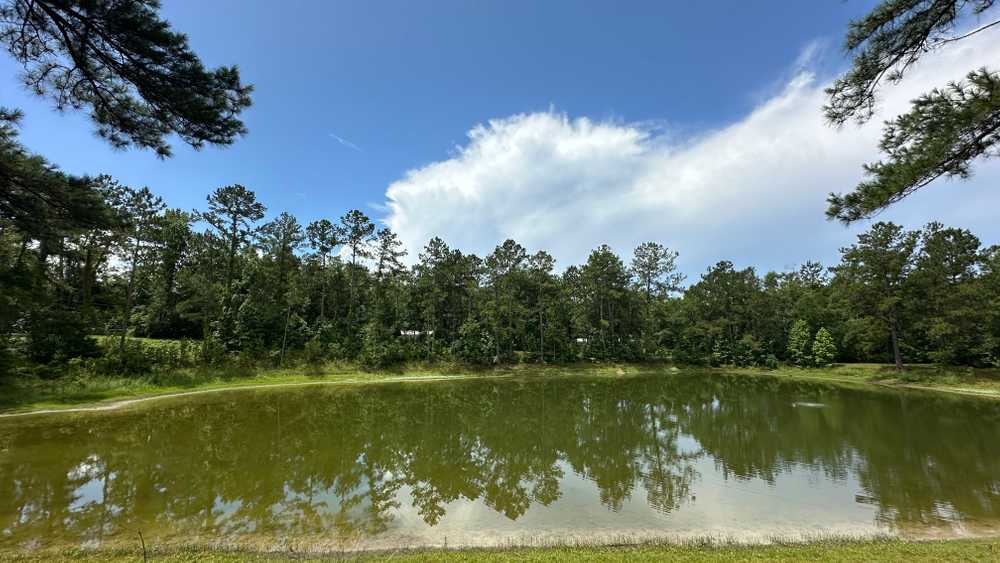 Tallahassee East Campground, Monticello, Florida - Photo 3