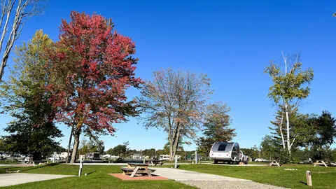 Pull-Through RV Site — image 1 of 1