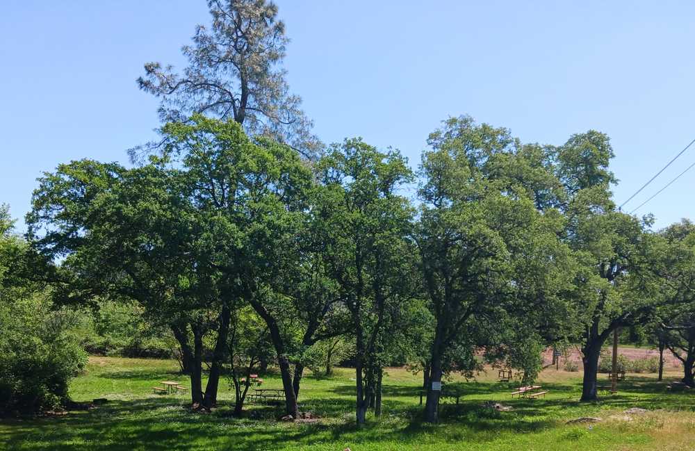 Auburn Gold Country RV Park, Auburn, California - Photo 2