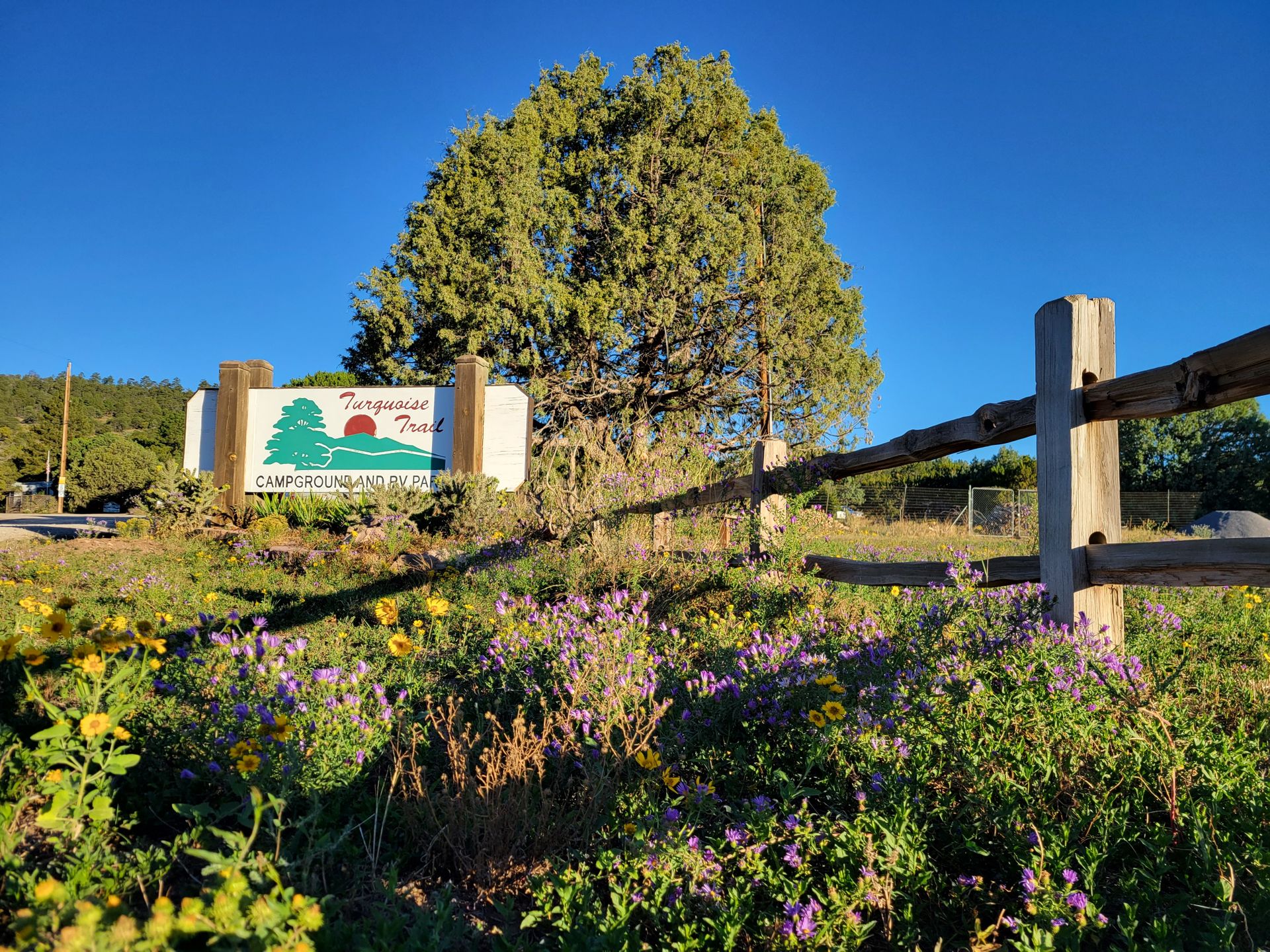 Turquoise Trail Campground & RV Park, Cedar Crest, New Mexico