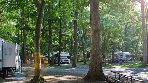 Woodland Premium Pull-Thru RV Site — image 1 of 6