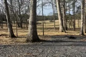 Deer Valley RV Park – photo 4