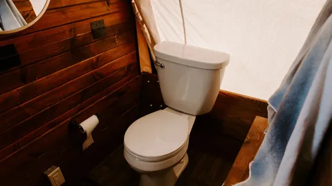 Covered Wagon — image 2 of 5