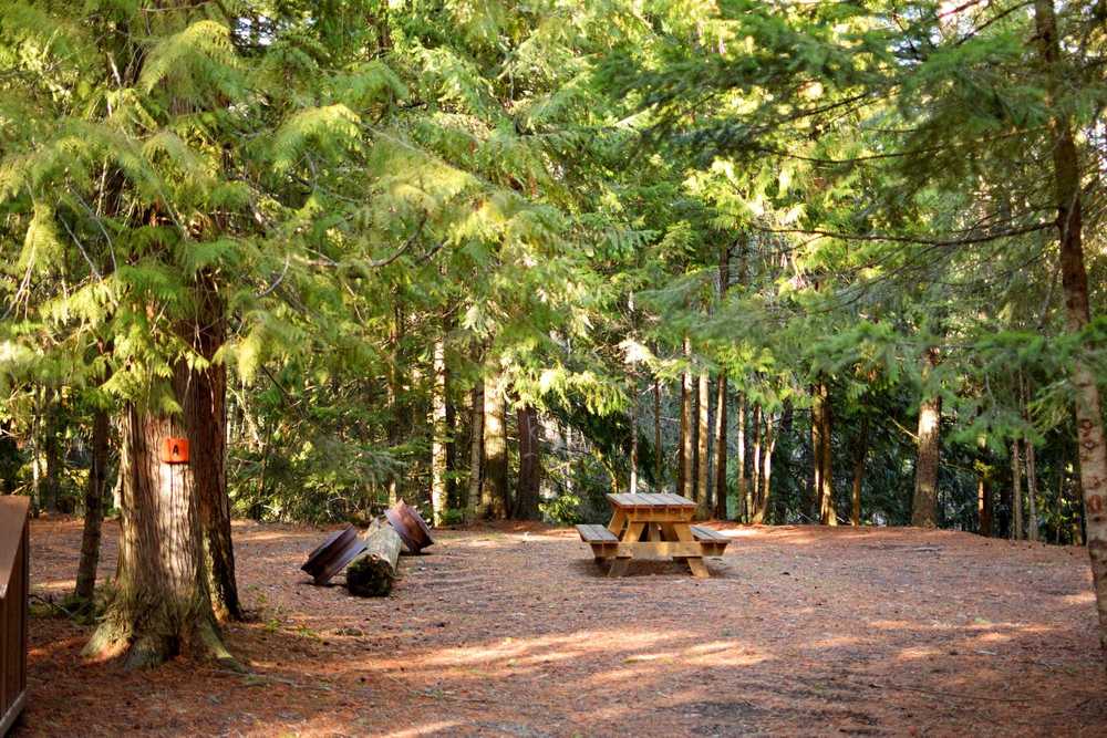 Park Image 8