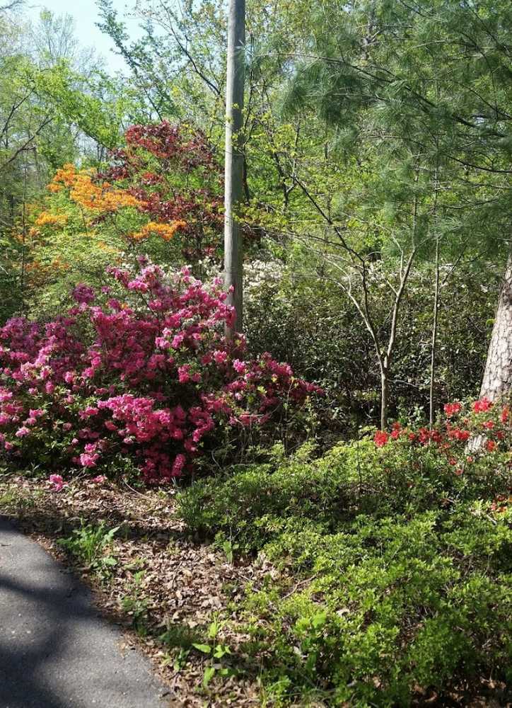 Park Image 6