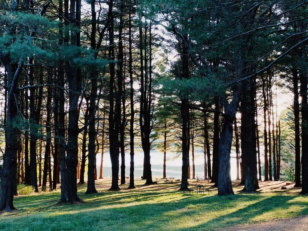 Campbell Cove RV Resort & Campground - Photo 3