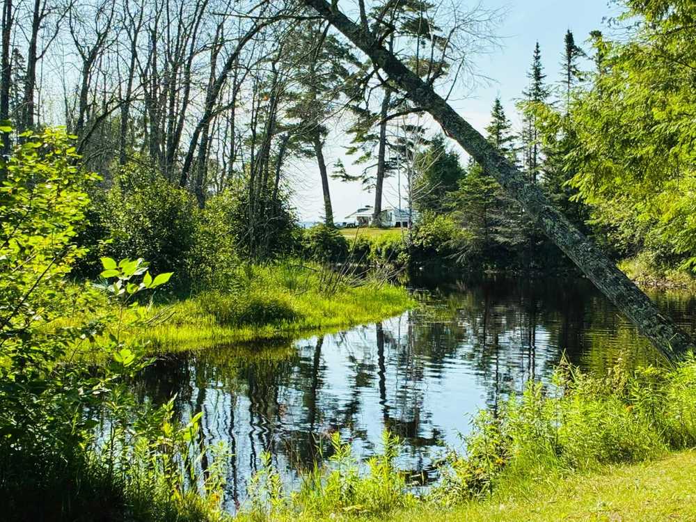 OB Fuller Campground - Photo 2