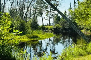 OB Fuller Campground – photo 2