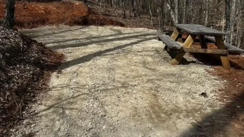 Primitive Campsite — image 2 of 7