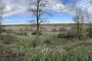 Pomme de Terre Campground – photo 3