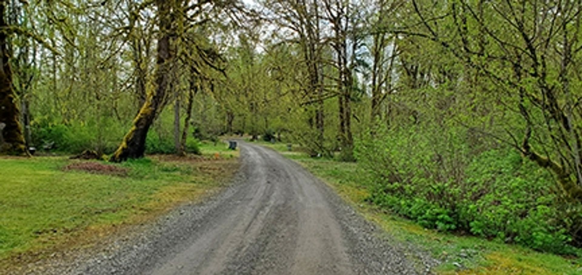 Barrier Dam Campground, Salkum, Washington