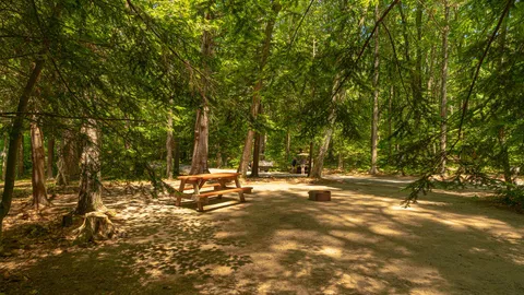 Tent Site — image 4 of 4