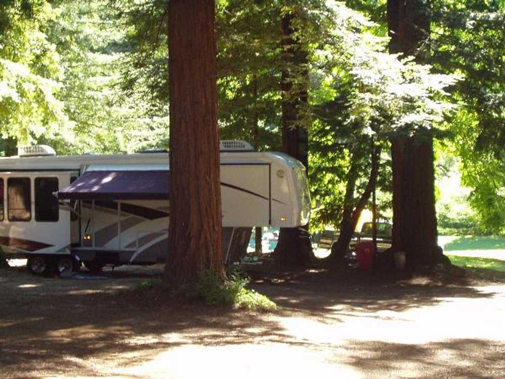 Redwood Resort RV Park and Campground, Boulder Creek, California - Photo 3