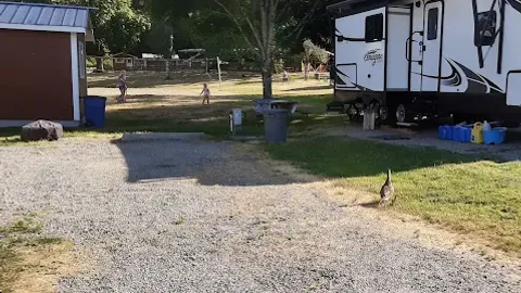 Full Hookup RV Site — image 1 of 2