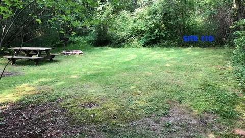 Tent Site — image 2 of 6