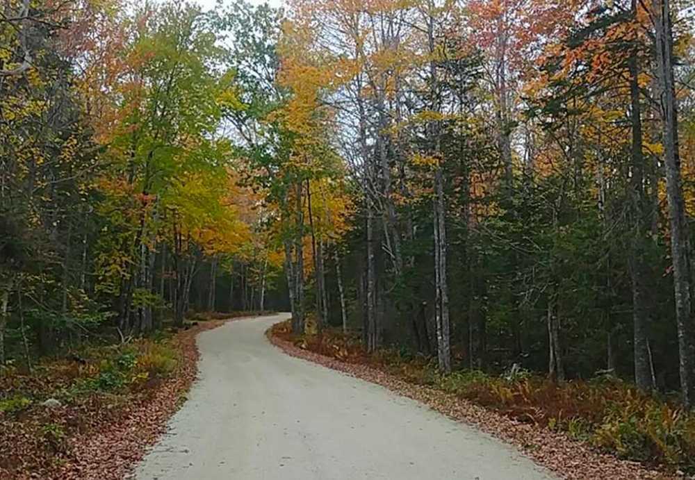 Balsam Cove Campground - Photo 3